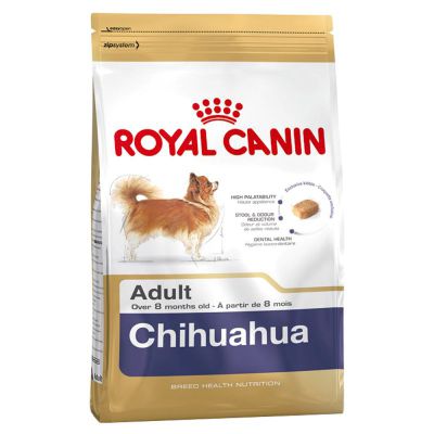 Chihuahua (Чихуахуа)