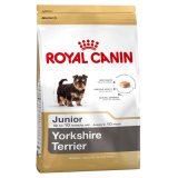 Yorkshire Terrier (Йоркширский терьер) Junior
