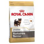 Yorkshire Terrier (Йоркширский терьер) Junior
