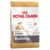 Bulldog (Бульдог) Junior