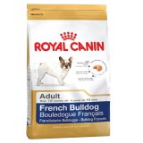 French Bulldog (Французский бульдог)