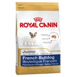 French Bulldog (Французский бульдог) Junior
